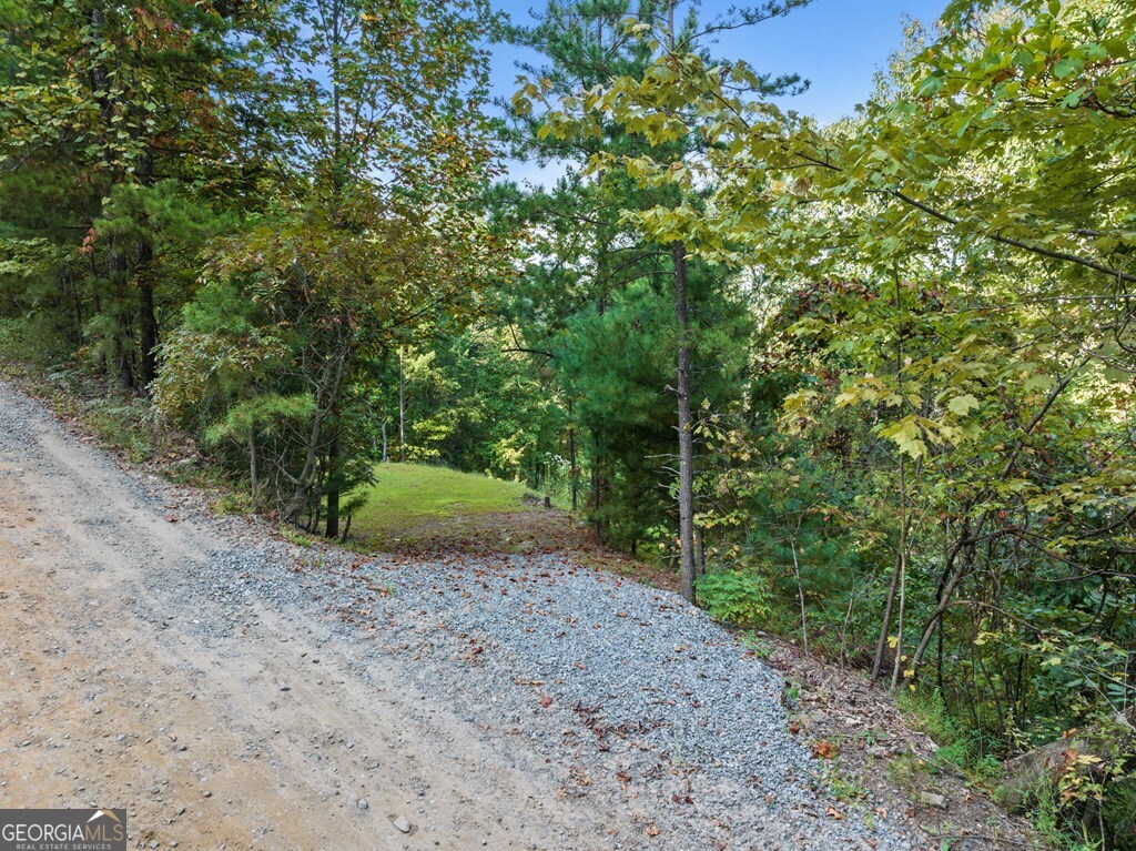 Lt 720 Morton Drive Ellijay GA 30540