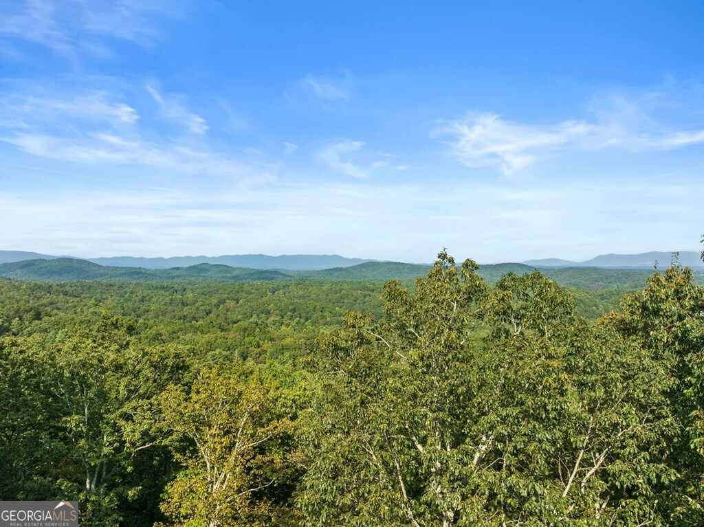 Lt 720 Morton Drive Ellijay GA 30540