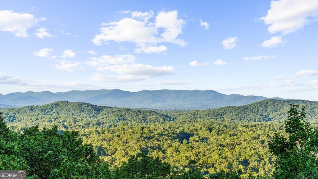 Lt 720 Morton Drive Ellijay GA 30540