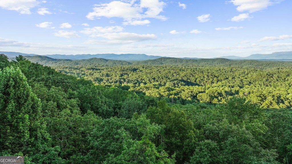 Lt 720 Morton Drive Ellijay GA 30540