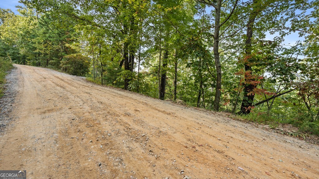 Lt 720 Morton Drive Ellijay GA 30540