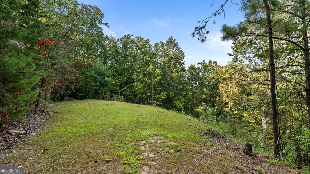 Lt 720 Morton Drive Ellijay GA 30540