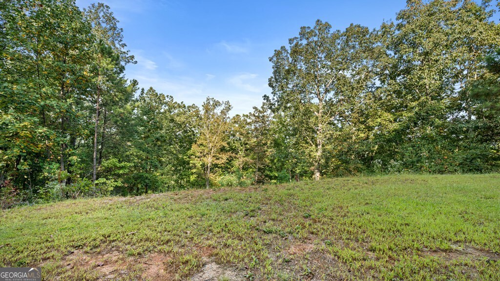 Lt 720 Morton Drive Ellijay GA 30540