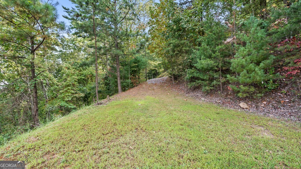 Lt 720 Morton Drive Ellijay GA 30540
