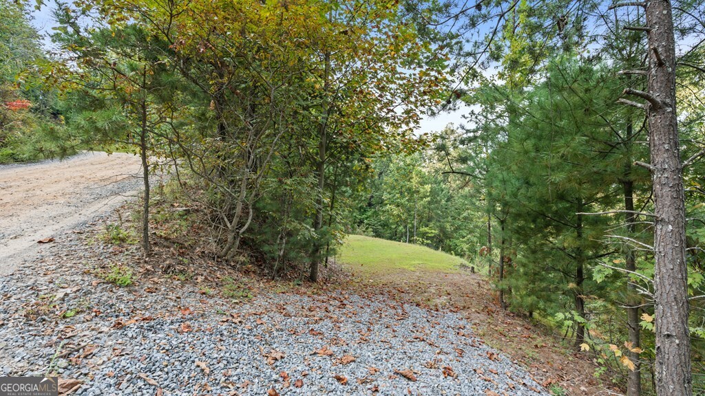 Lt 720 Morton Drive Ellijay GA 30540