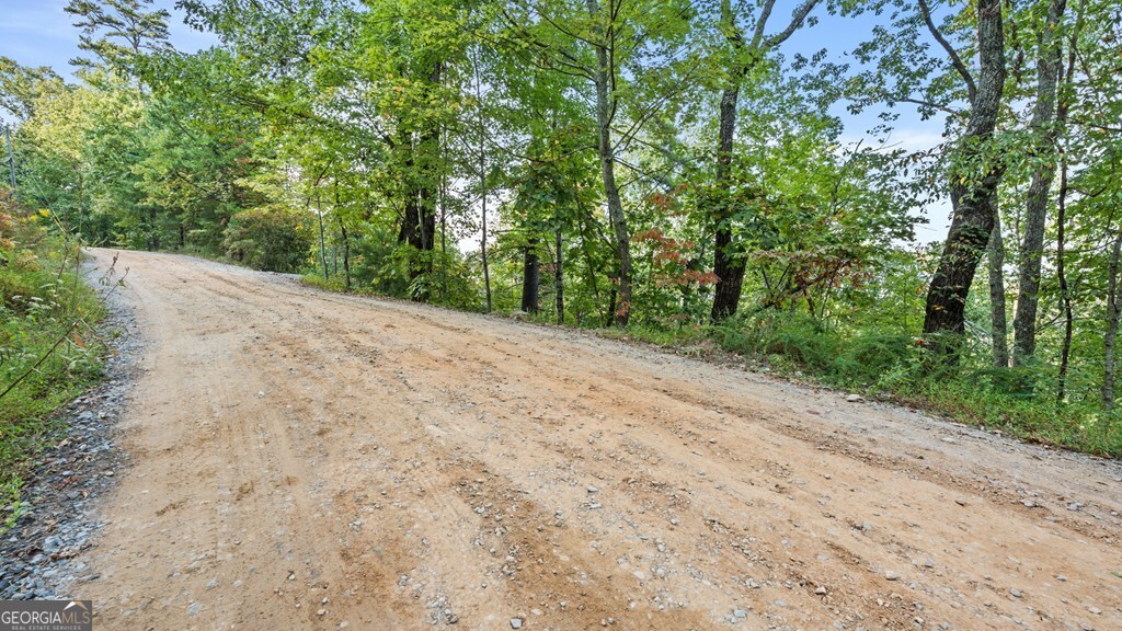 Lt 720 Morton Drive Ellijay GA 30540