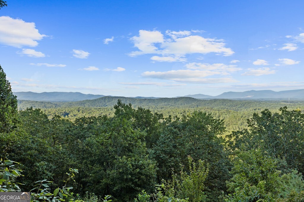 Lt 720 Morton Drive Ellijay GA 30540