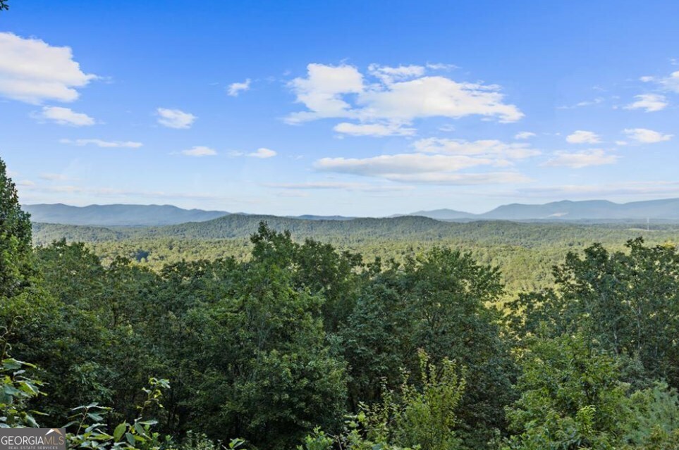 Lt 720 Morton Drive Ellijay GA 30540