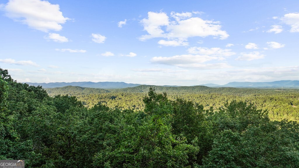 Lt 720 Morton Drive Ellijay GA 30540