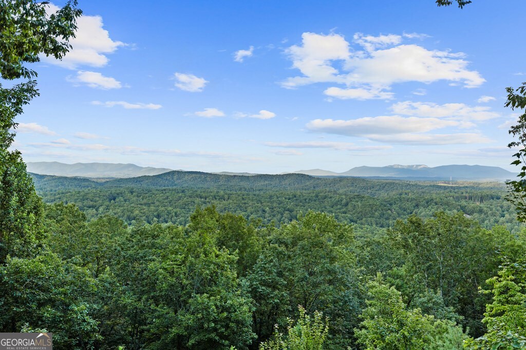 Lt 720 Morton Drive Ellijay GA 30540