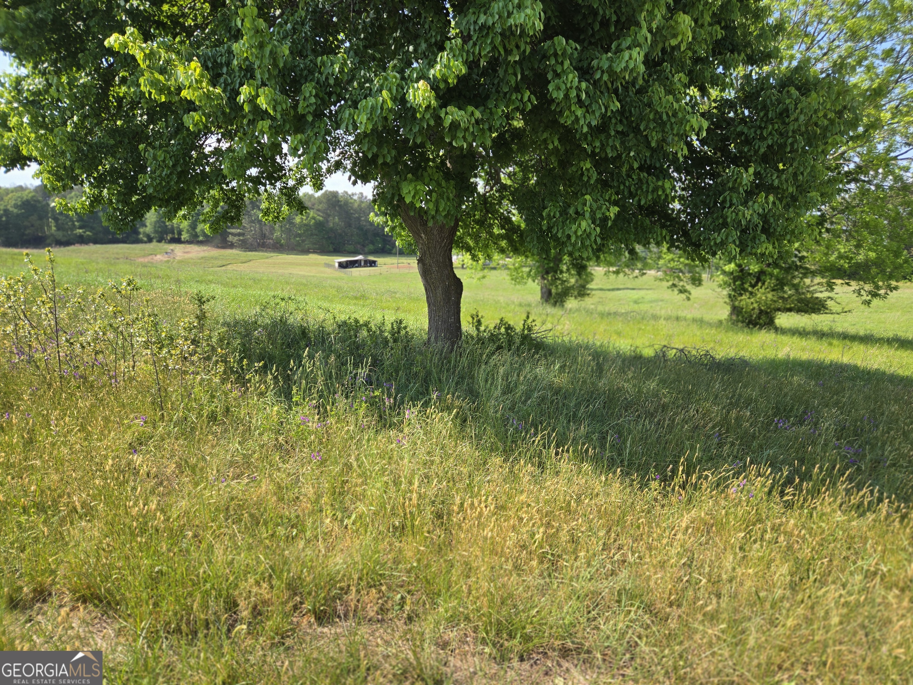 4.5 Ac Ed Tench Demorest GA 30535