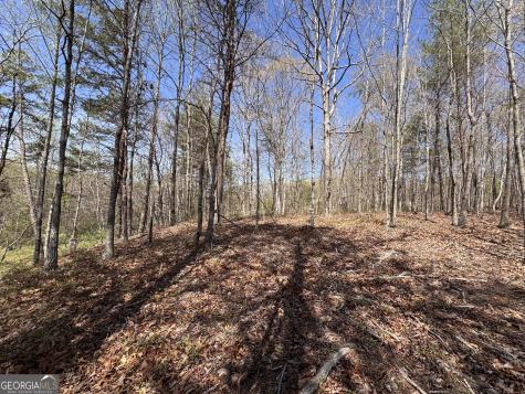 0 Highway 129 N Cleveland GA 30528
