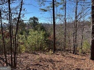 0 Mile High Lane Blairsville GA 30512