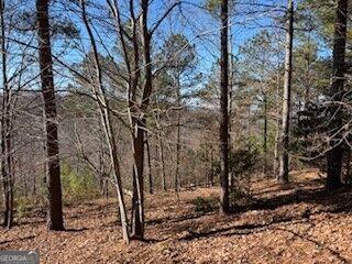 0 Mile High Lane Blairsville GA 30512