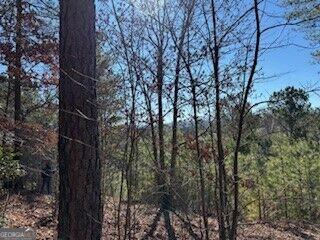 0 Mile High Lane Blairsville GA 30512