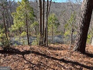 0 Mile High Lane Blairsville GA 30512