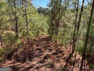 0 Mile High Lane Blairsville GA 30512