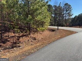0 Mile High Lane Blairsville GA 30512