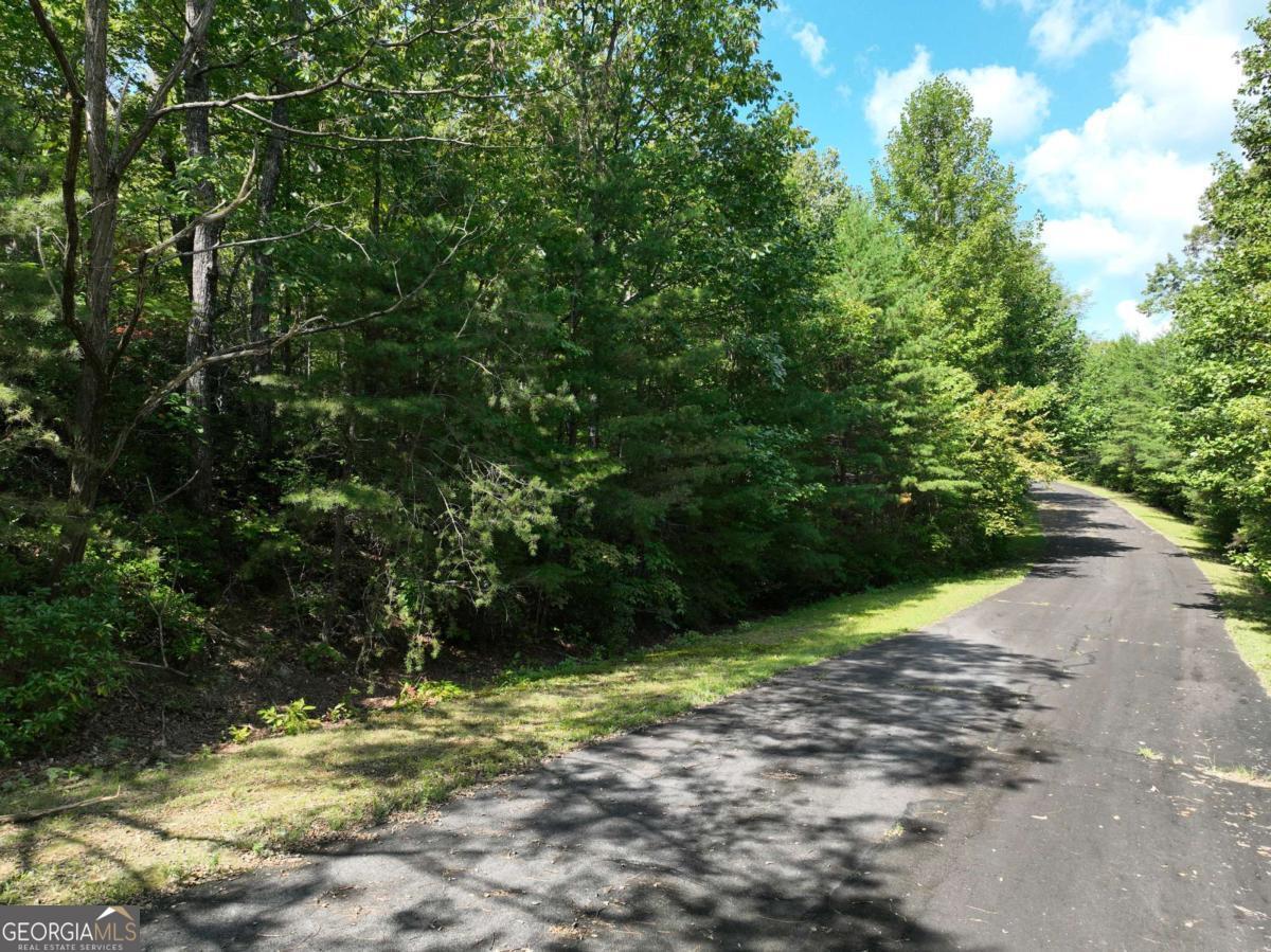 123 Edinborough Court Ellijay GA 30536