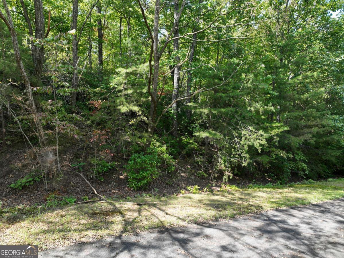 123 Edinborough Court Ellijay GA 30536