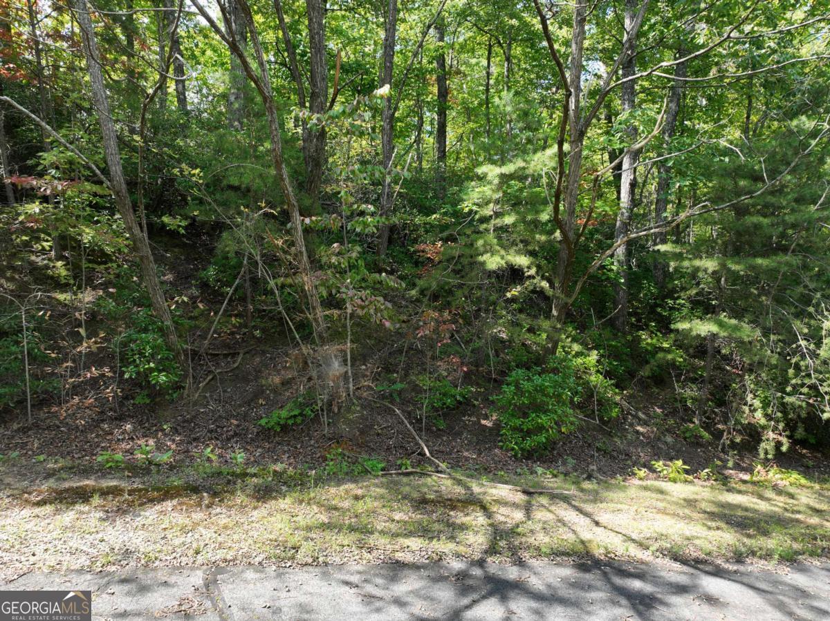 123 Edinborough Court Ellijay GA 30536