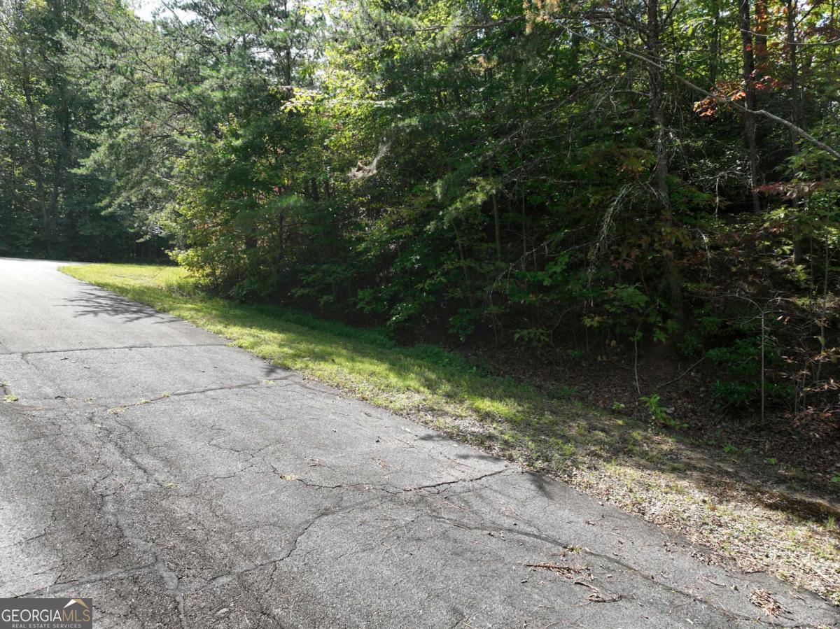 123 Edinborough Court Ellijay GA 30536