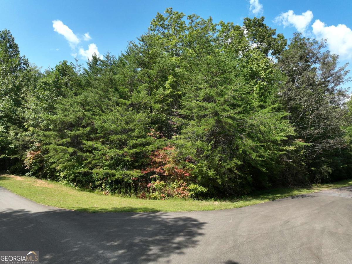 123 Edinborough Court Ellijay GA 30536