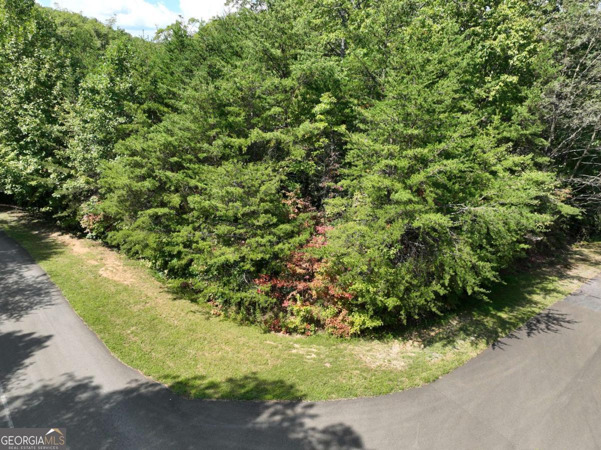 123 Edinborough Court Ellijay GA 30536