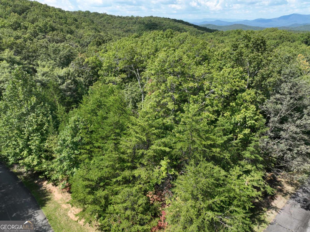 123 Edinborough Court Ellijay GA 30536