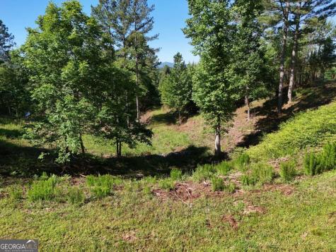 Lot 2 Big Knoll Drive Blairsville GA 30512