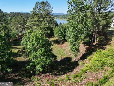 Lot 2 Big Knoll Drive Blairsville GA 30512