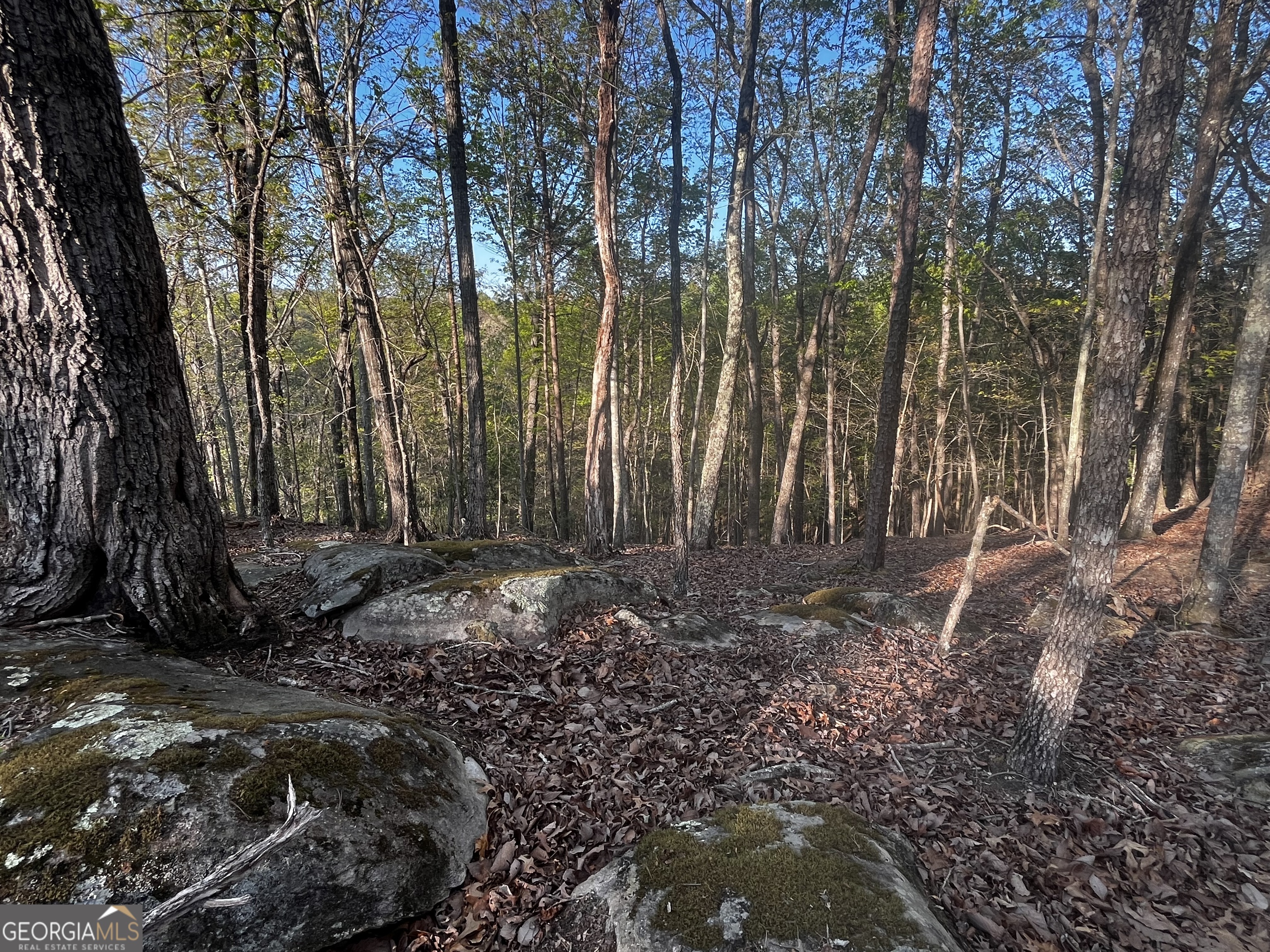 140 Lakeview Walk Baldwin GA 30511