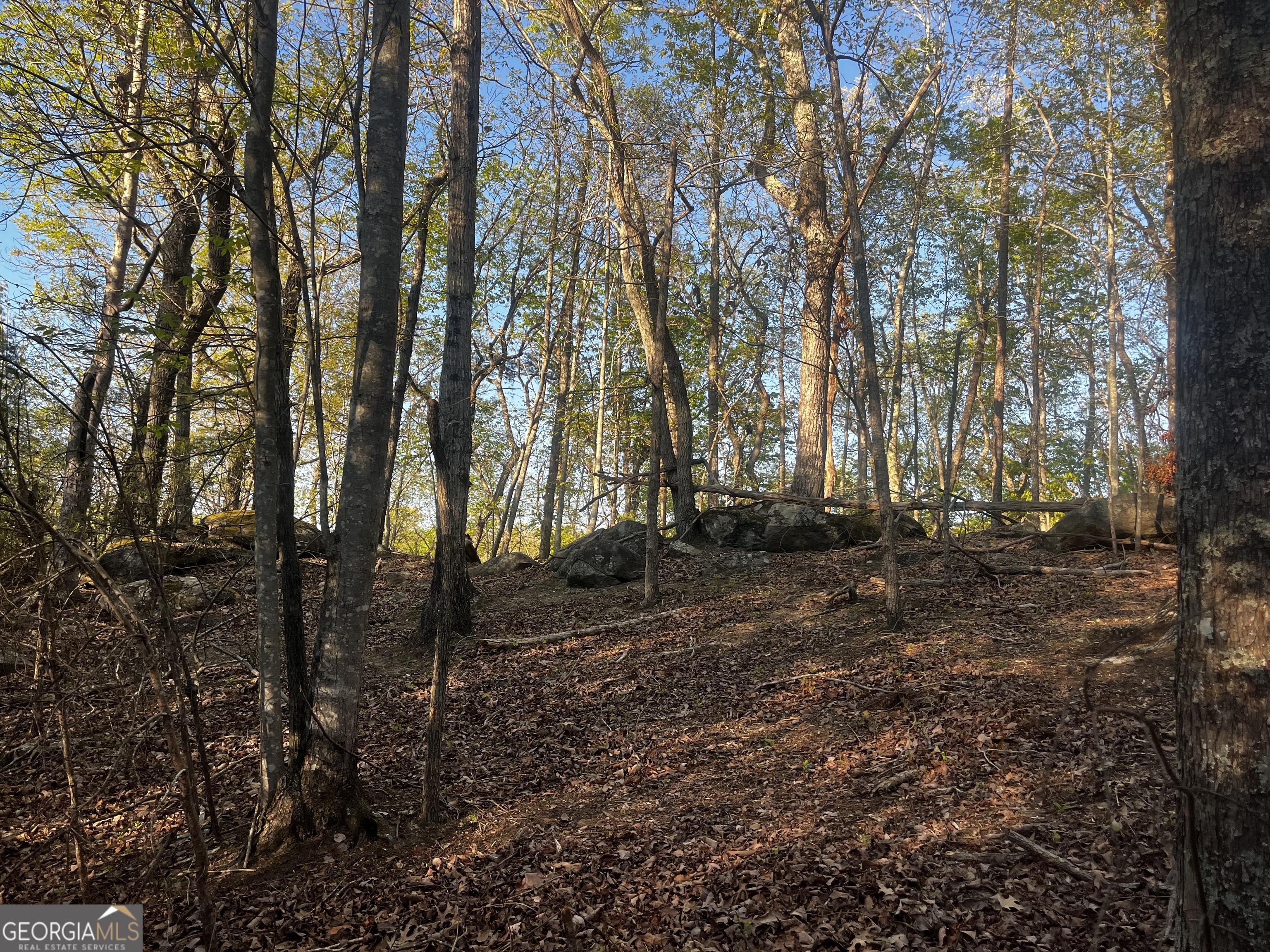140 Lakeview Walk Baldwin GA 30511