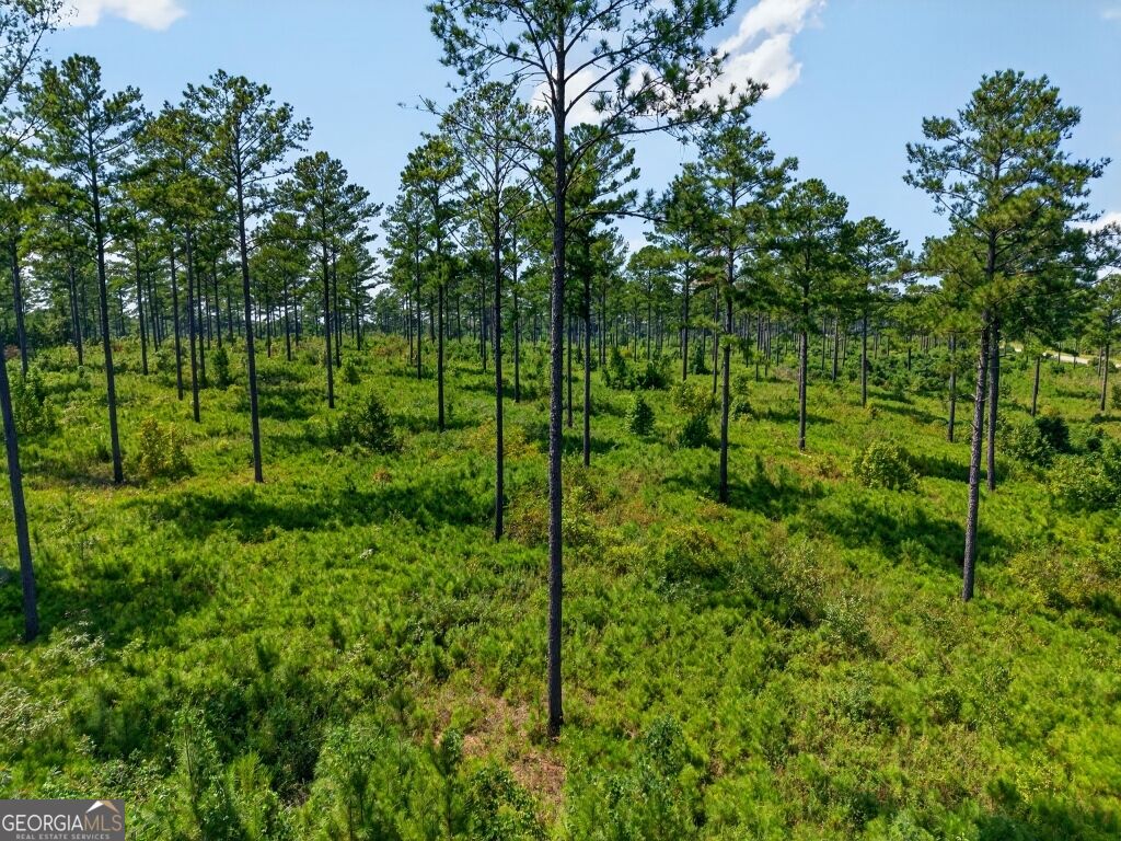 0 Highway 30 Buena Vista GA 31803