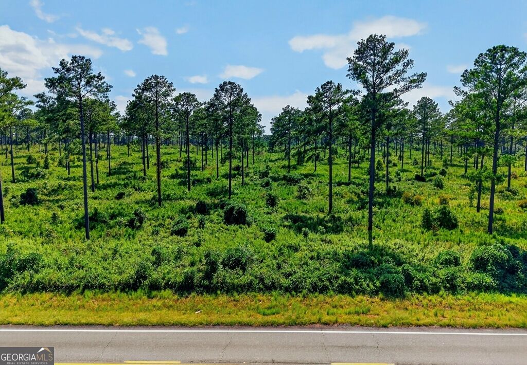 0 Highway 30 Buena Vista GA 31803