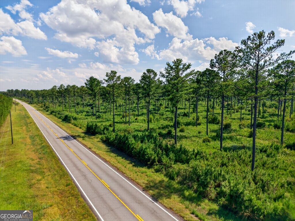 0 Highway 30 Buena Vista GA 31803