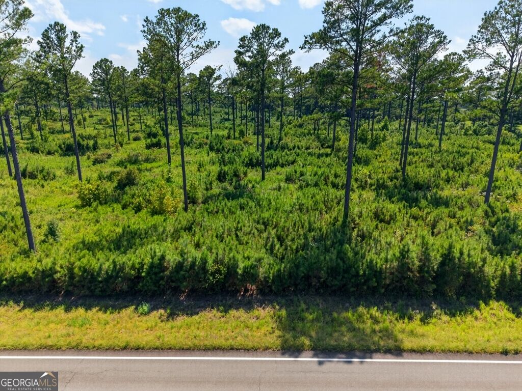 0 Highway 30 Buena Vista GA 31803