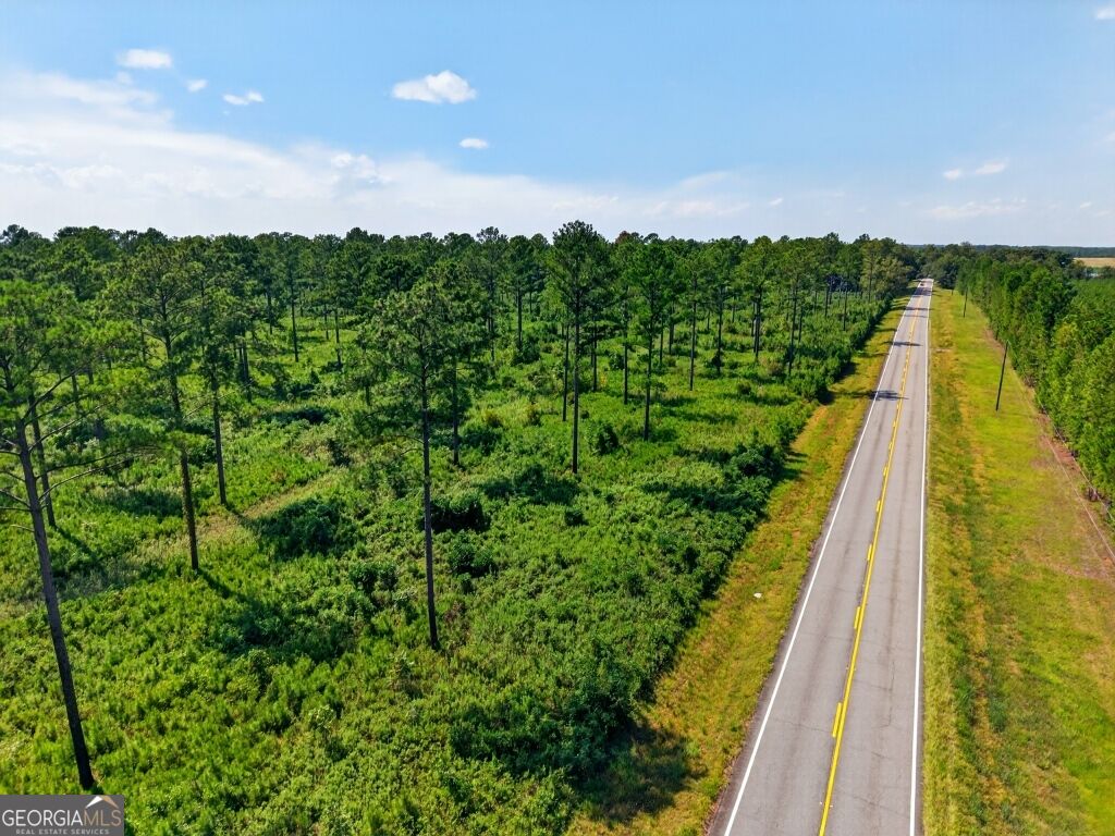 0 Highway 30 Buena Vista GA 31803