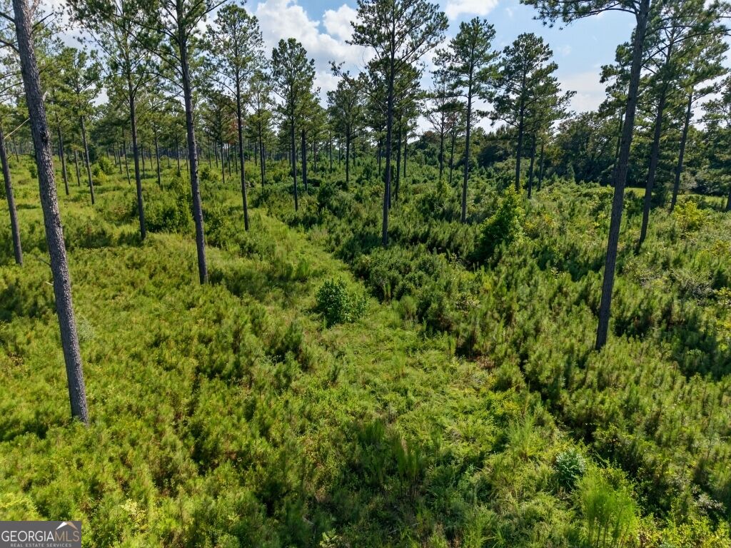0 Highway 30 Buena Vista GA 31803