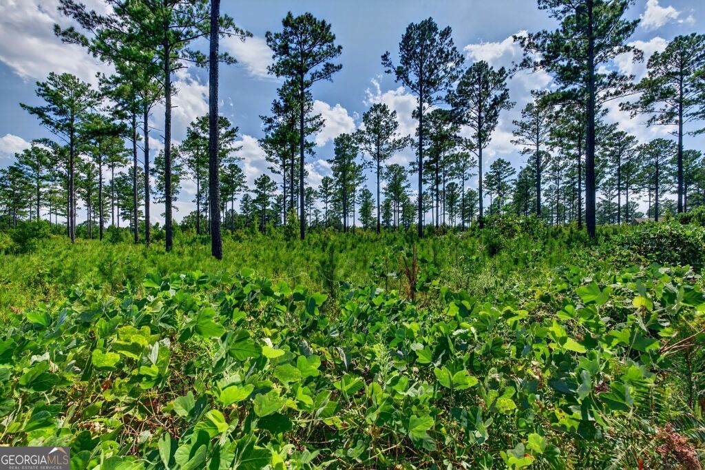 0 Highway 30 Buena Vista GA 31803