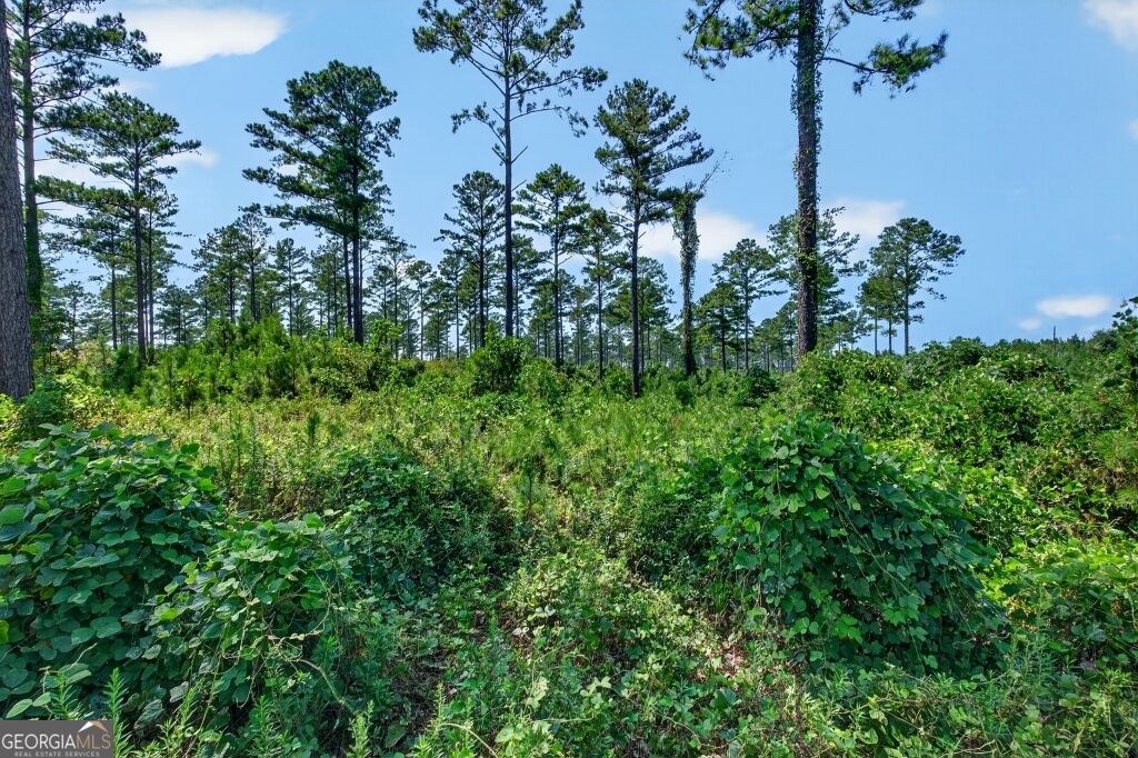 0 Highway 30 Buena Vista GA 31803