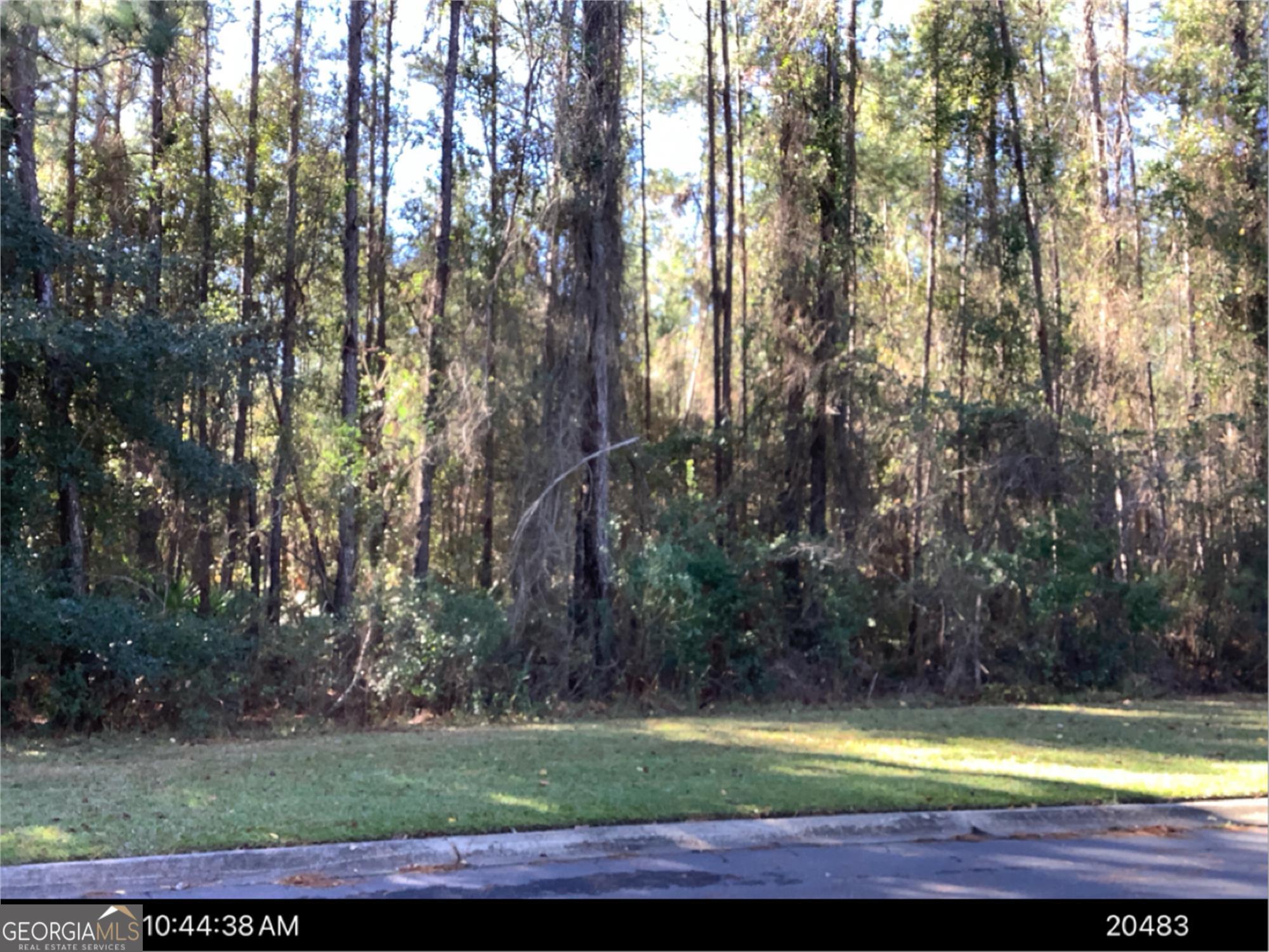 0 Secret Cove Road Woodbine GA 31569