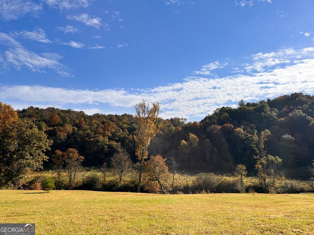 Lot 5 Sexton Circle Ellijay GA 30540