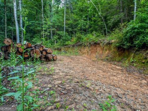 1063 Rickman Airfield Road Clayton GA 30525