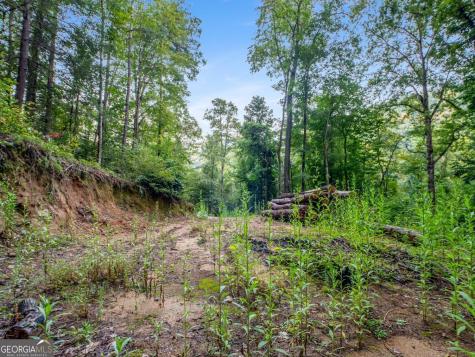 1063 Rickman Airfield Road Clayton GA 30525