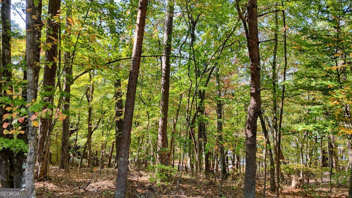 76 Acres Charlotte Circle Blue Ridge GA 30513