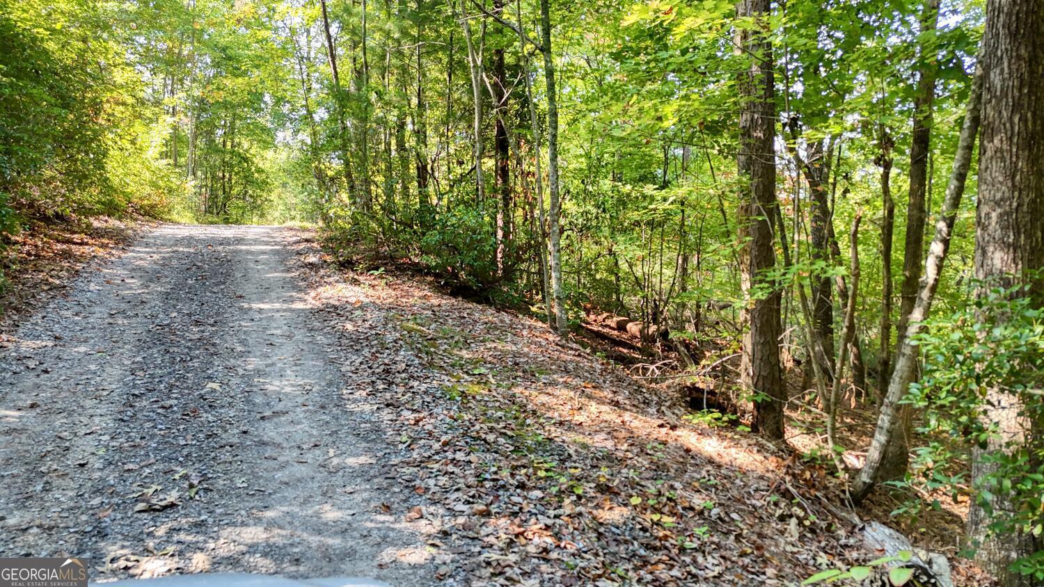 76 Acres Charlotte Circle Blue Ridge GA 30513