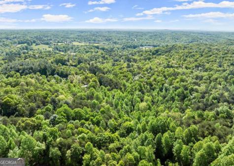 2239 Dean Mountain Road Cleveland GA 30528