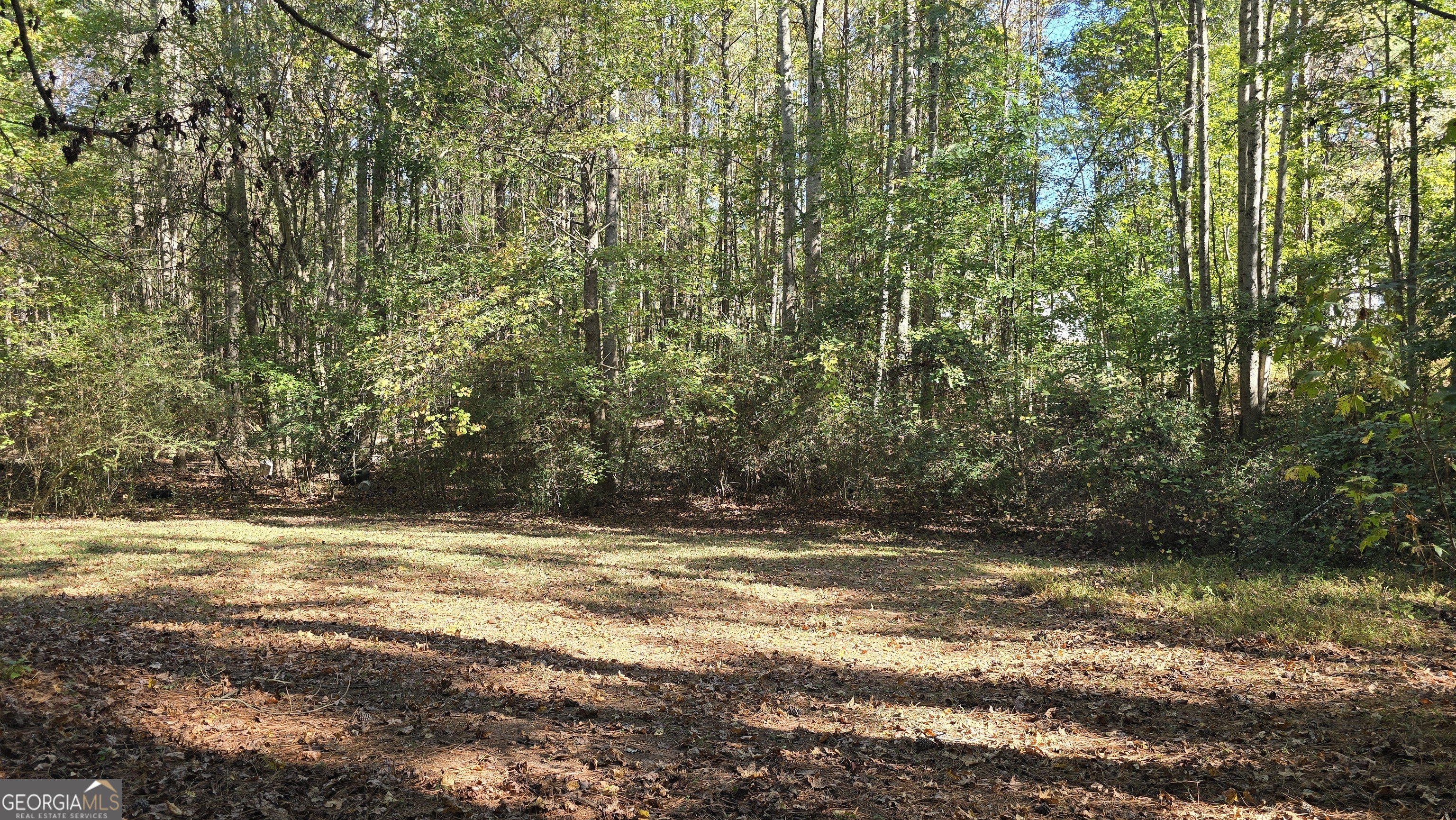 377 Dock Hyde Road Carrollton GA 30116
