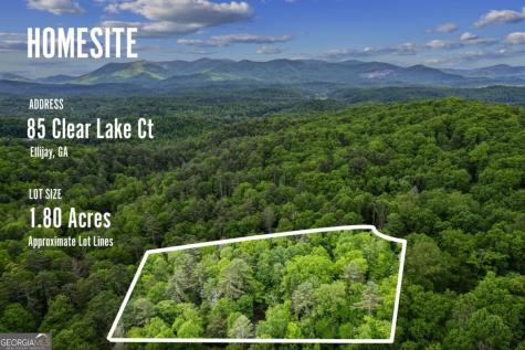 85 Clear Lake Court Ellijay GA 30540
